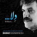 Babak Radmanesh - The Caravan of Life
