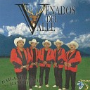 Los Venados Del Valle - Amor De Los Dos