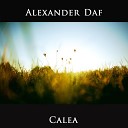 Alexander Daf - Top Rank