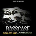 Bass Case - The Breakdown