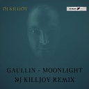 Gaullin - Moonlight Dj Killjoy Radio Edit