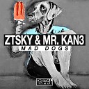 ZTSky Mr Kan3 - Mad Dogs Original Mix