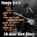 Mungo Jerry - Birthday Blues