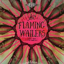 The Flaming Wailers - Do You Realize