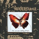 Wunderkammer - The Sun Was Setting Behind
