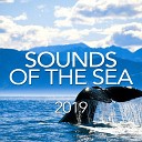 Sounds Of The Sea - Nature Sounds Original Mix