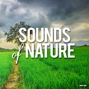 Sounds Of Nature - Mediterranean Sea Adventure Original Mix