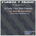 DJ Funky T feat Elliot Chapman - You Gave Me Something Fka Mash Re Glitch