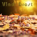 Vlad Brost - On This Vintana Original Mix