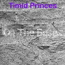 Timid Princes - Street Racing