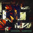 Critical Wraiths - A Shattered Ideal