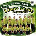 Banda Llano Verde - Tonto Coraz n