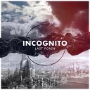 Last Ronin - Incognito Original Mix