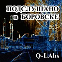 Q Labs - Веточка рябины