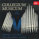 Mari n Varga Collegium Musicum - Hommage j S Bach