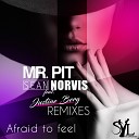 Sean Norvis Mr Pit feat Justine Berg - Afraid to Feel M A N Remix