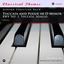 Maurizio Lucchetti - Toccata and Fugue in D Minor BWV 565 I Toccata…