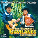 Los Tremendos Gavilanes - Te He De Amar Y Te He De Amar