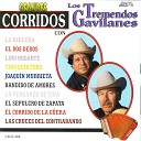 Los Tremendos Gavilanes - El Corrido De La G era