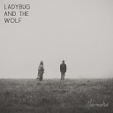 Ladybug and the Wolf - Little Old Man