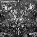 Diarmaid O Meara Dorbachov - Order From Chaos Original Mix