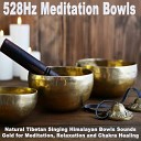 528Hz Meditation Bowls - Oriental Soundscapes