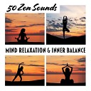 Mindfulness Meditation Music Spa Maestro - Soul Vision