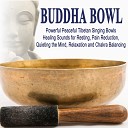 Buddha Bowl - Buddha Bowl Energy Boost Gong Meditation