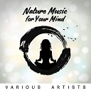 Relaxing Night Music Academy - Nature Music for Your Mind Bath Spa