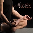 Relaxation Meditation Songs Divine - Touch for Health Calming Melody