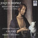 Ensemble a Sei Voci A Sei Voci Bernard Fabre Garrus Josquin Des… - Missa Gaudeamus III Credo No 4 Et unam…