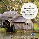Anneliese Rothenberger Symphonie Orchester Graunke Willy Mattes Chor der Bayerischen Staatsoper M… - Zogen einst f nf wilde Schw ne 1995 Remastered…