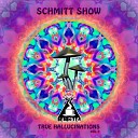 Schmitt Show - Awakened (Original Mix)