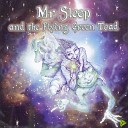 Mr Sleep The Flying Green Toad - We Are Family