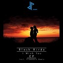 Black Birdz Evolke - Avec Toi Original Mix