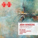 Josh Winiberg - Awakening SAES Remix