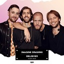 Imagine Dragons x Savin Pushkarev Grakk… - Believer SAlANDIR Radio Version