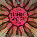 The Flaming Wailers - Yoshimi