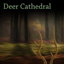 Deer Cathedral - Toledo