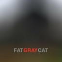 Fat Gray Cat - Pushing Up Flowers