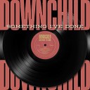 Downchild Blues Band - Into The Fire