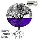 Quantizers - Prosperity Imerio Vitti Remix