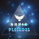 Narik - Why Not Fly Like A Bird Original Mix