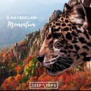 D Ravenclaw - Momentum Original Mix
