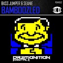 Bass Jumper Seanie Jackson - Bamboozled Original Mix