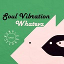 Soul Vibration - Apocalypse Original Mix