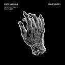 Cool Harbour - Pointless Original Mix