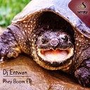 DJ Entwan - Phey Boom