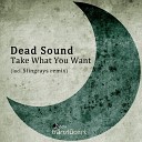 Dead Sound - Take What You Want Stingrays Remix