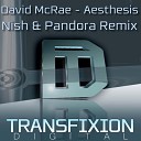 David McRae - Aesthesis Nish Pandora Remix